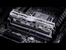 G.Skill Trident Z5 Royal F5-8000J3848F24GX2-TR5S (DDR5-8000 CL38 24GB×2) 4580519699668