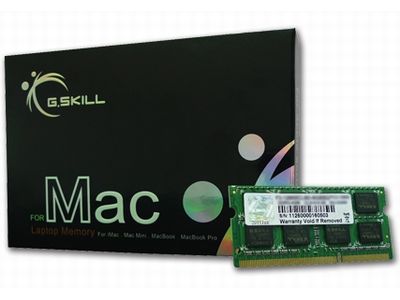 G.Skill FA-1600C11S-8GSQ (For Mac 8GB×1)【MacBook Pro 2012、Mac mini 2012、iMac 2012対応】 i8my1cf