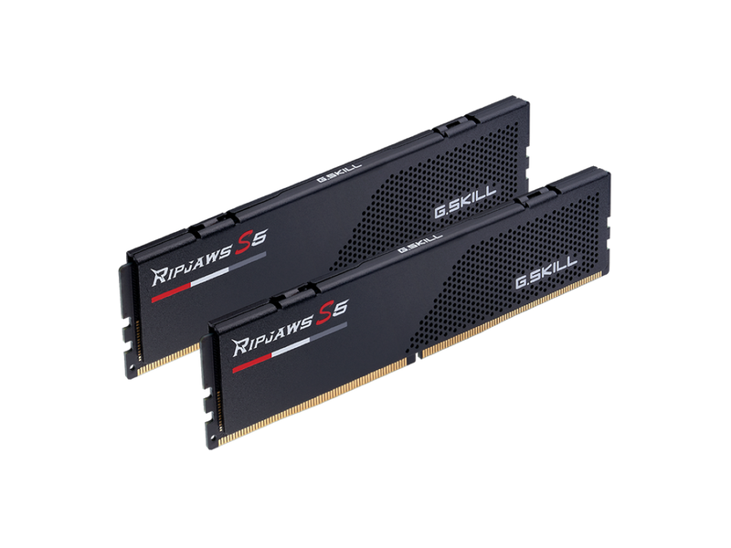 G.Skill Ripjaws S5 F5-5200J4040A32GX2-RS5K (DDR5-5200 CL40 32GB×2) 4580519697268