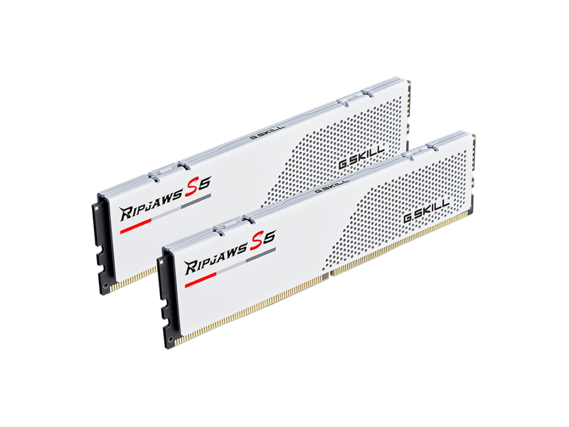 G.Skill Ripjaws S5 F5-6000J2836G16GX2-RS5W (DDR5-6000 CL28 16GB×2) 4580519699088