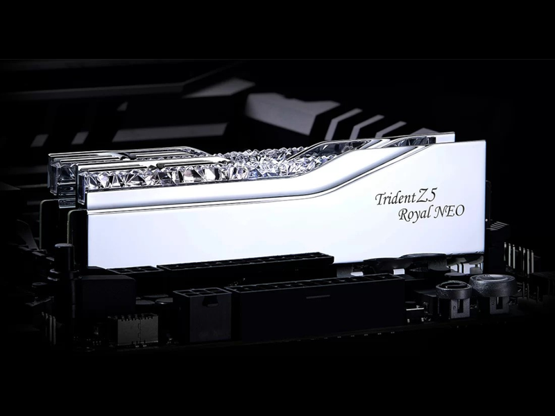 G.Skill Trident Z5 Royal Neo RGB F5-8000J4048G24GX2-TR5NS (DDR5-8000 CL40 24GB×2) 4580519698418