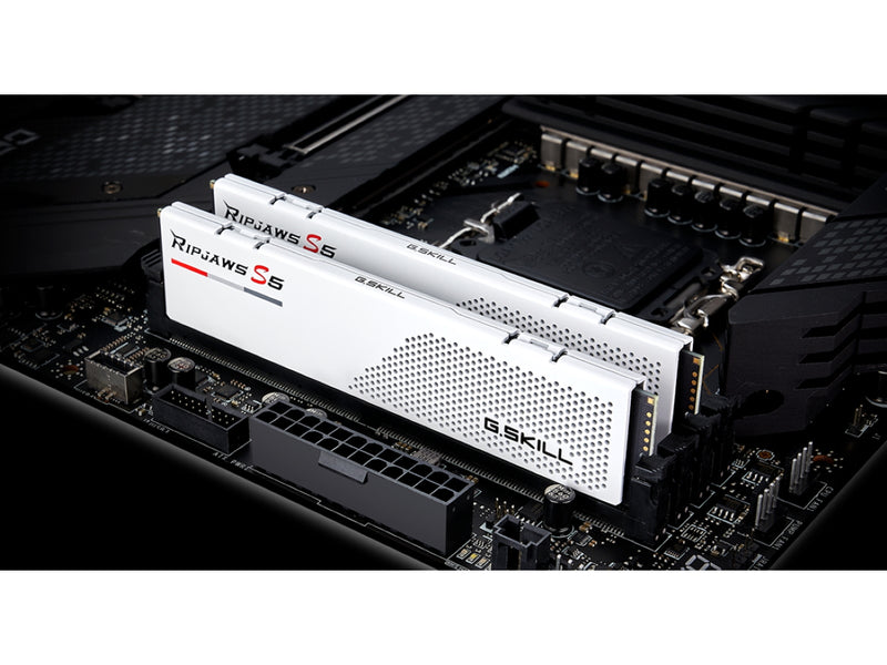 G.Skill Ripjaws S5 F5-6000J2836G16GX2-RS5W (DDR5-6000 CL28 16GB×2) 4580519699088