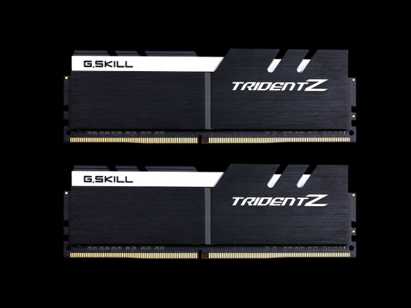 G.Skill F4-3866C18D-16GTZKW (DDR4-3866 CL18 8GB×2)