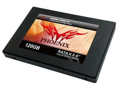 G.Skill FM-25S2S-120GBP1 (SSD 2.5インチ 120GB SATAII)