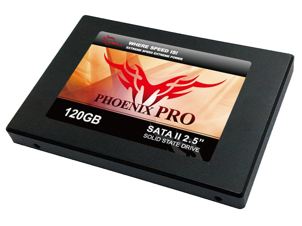 G.Skill FM-25S2S-120GBP2 (SSD 2.5インチ 120GB SATAII)