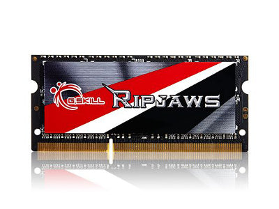 G.Skill F3-1600C9S-4GRSL (DDR3L-1600 CL9 4GB×1)