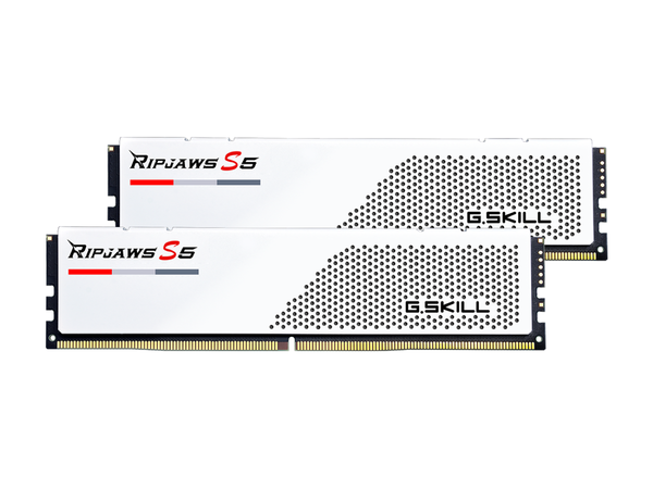 G.Skill Ripjaws S5 F5-5600U3636C16GX2-RS5W (DDR5-5600 CL36 16GB×2) 4580519695417
