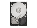 Seagate ST31000333AS (1TB 32MB)